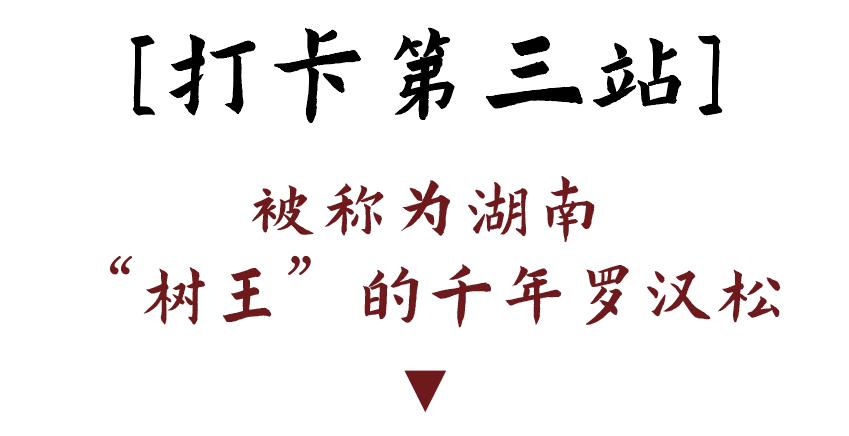 DƬ